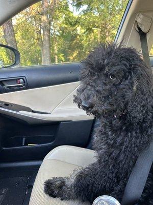 photo of Brittany H.