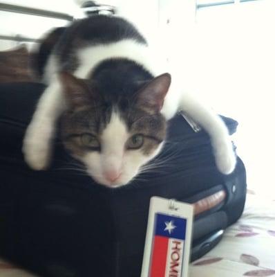 Photo of Armando G.
