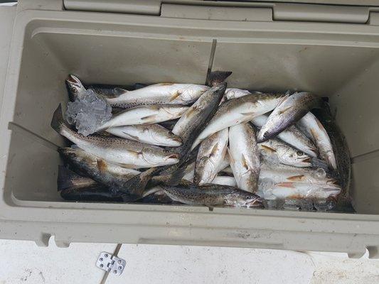 photo of Christine D.