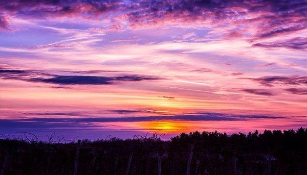 Photo of Christina H.