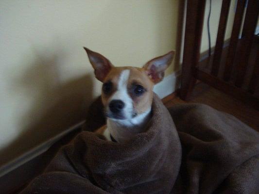 photo of Sandra M.