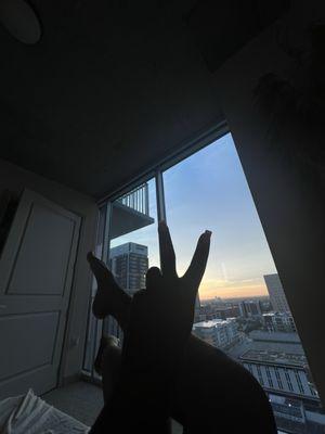 photo of Shanelle J.