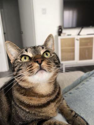 photo of Kassandra S.