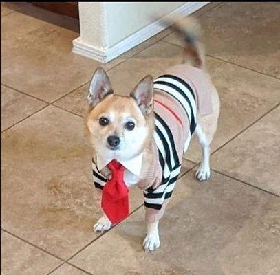 photo of Michelle K.