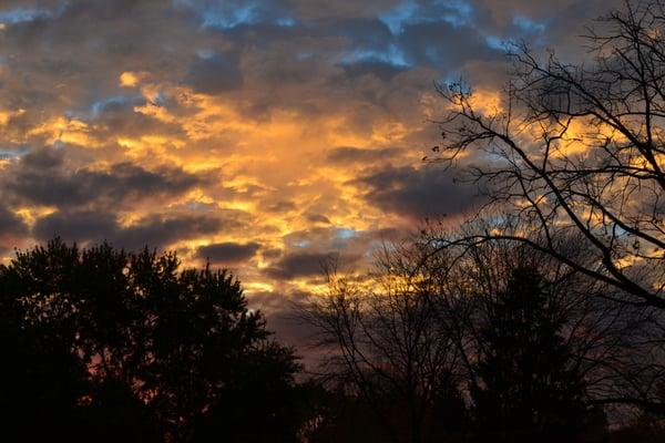 photo of Jennifer T.