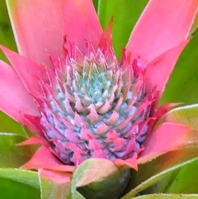 photo of Masayakid3 ..