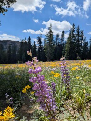 photo of Elizabeth B.