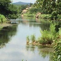 Photo of Scarlett L.