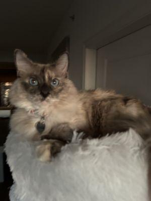 photo of Kristina G.