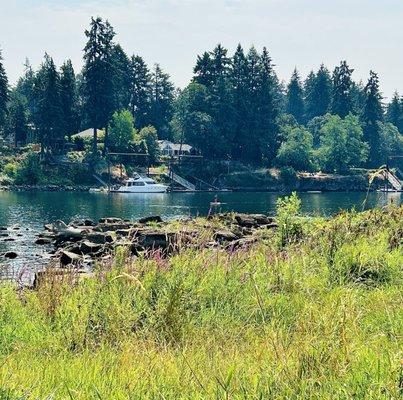 photo of Linda S. M.