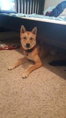 photo of Francesca V.