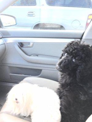 photo of Ryan-Nichole C.