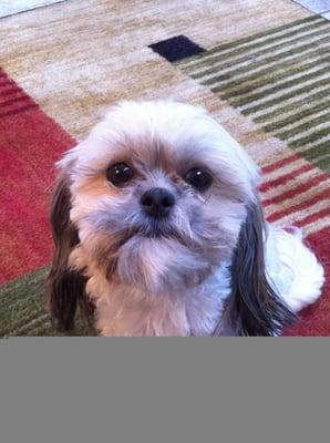 photo of Roseanna M.