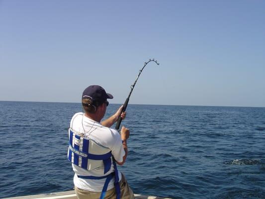 Photo of Michael F.