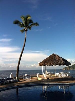 photo of Michelle L.