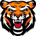 Photo of TechnoTigers R.
