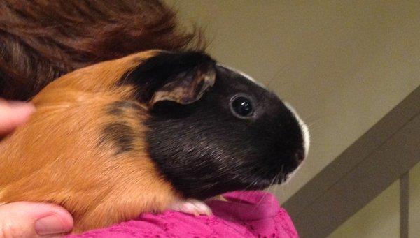 Photo of Espirita S.