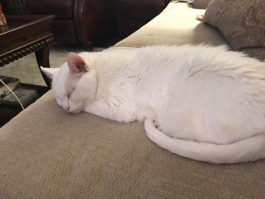 photo of Wolfgang E.