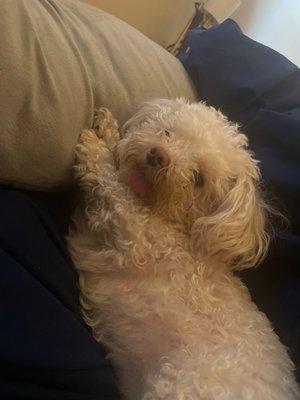 photo of Jonathan P.