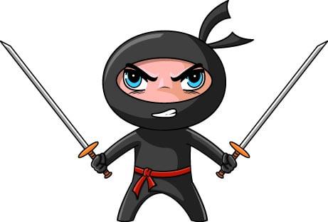 Photo of Black Ninja E.