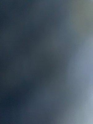 photo of Catherine D.