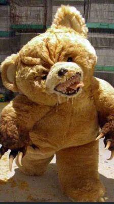 Photo of Bear F.