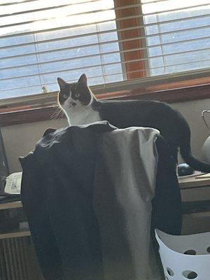 photo of Sebastian