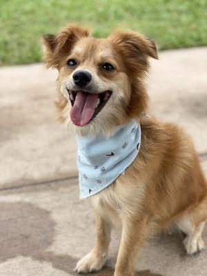 photo of Jennifer V.