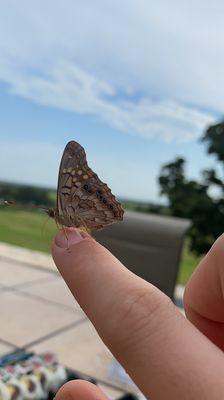 Photo of Anabelle G.