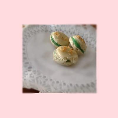 photo of Danielle M.