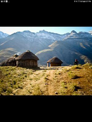 photo of Precious A.