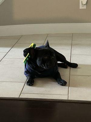 Photo of Jessenia C.