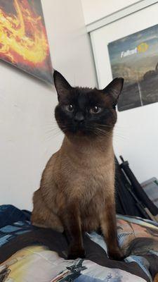 Photo of Alexander A.