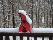 photo of Elizabeth S.