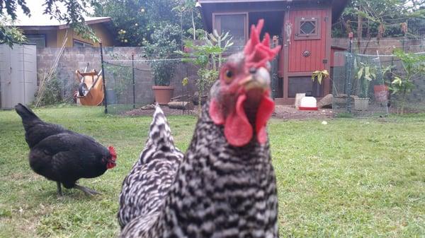 photo of Christina B.