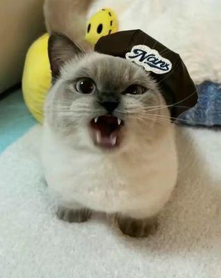 photo of Christian S.