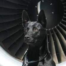 photo of robert c. f.