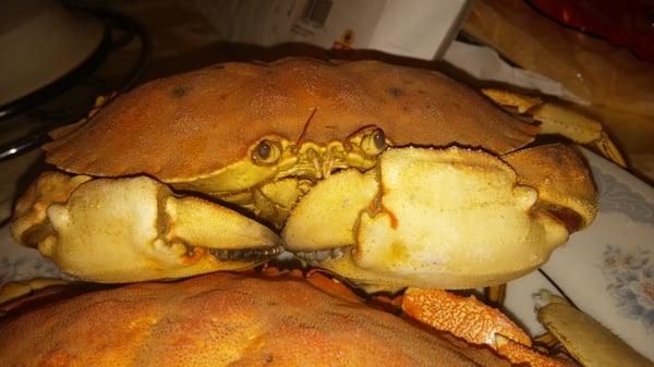 Photo of Sandrona7 ..