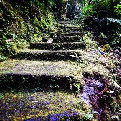 photo of John Paul P.