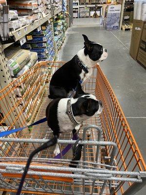 photo of Kimberly W.