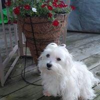 photo of Debbi R.