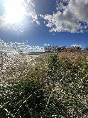 photo of Kimberly W.