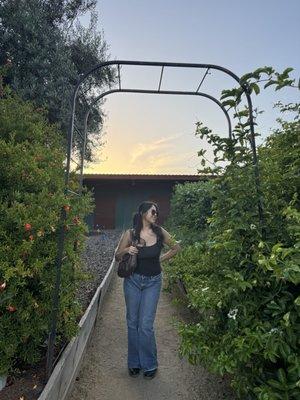 Photo of Nevaeh G.