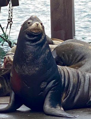 Photo of Wendalina M.