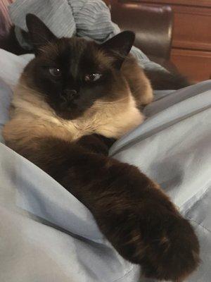 Photo of Charlotte C.