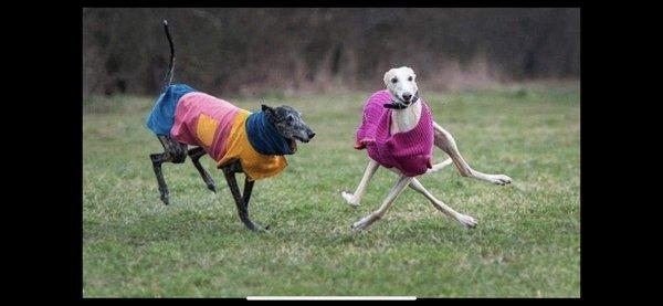 photo of Fernando P.