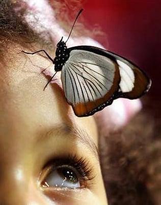 photo of Georgeta T.