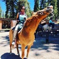 Photo of Denise T.