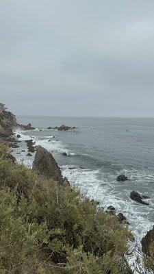 Photo of lillians