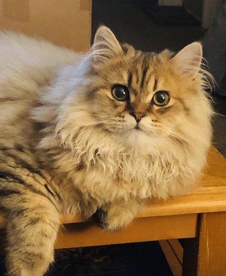 Photo of Chloe P.